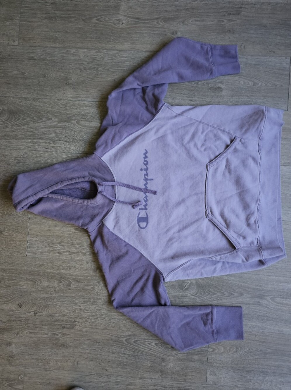 Champion Women's Lavender Hoodie Sweatshirt